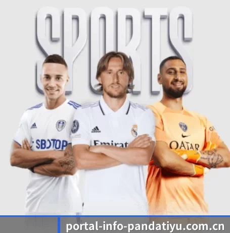 portal-info-pandatiyu.com.cn的方向